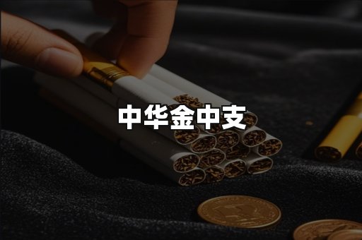 中华金中支
